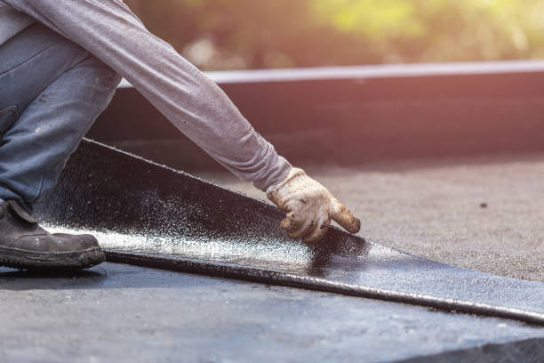 Professional Interior Drainage System technician working in Rosebush, MI